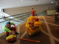 DSC 0354